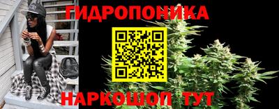 соль ск Новодвинск