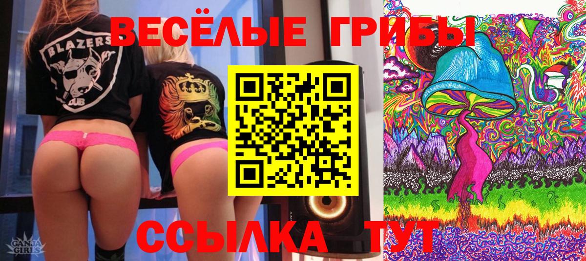 Галлюциногенные грибы Psilocybine cubensis  Вход с VPN  Рязань  Галлюциногенные грибы Psilocybe 