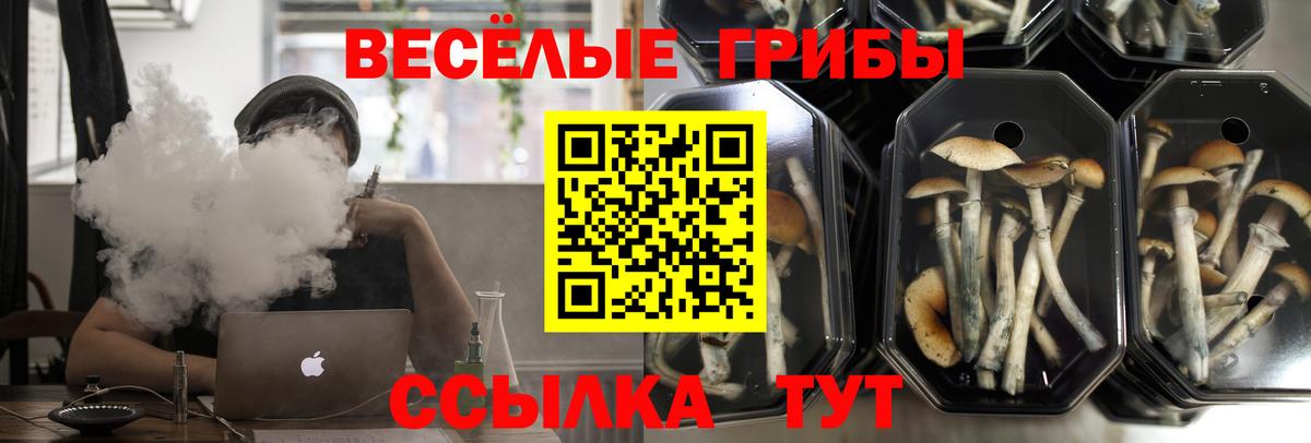 Галлюциногенные грибы MAGIC MUSHROOMS Рязань